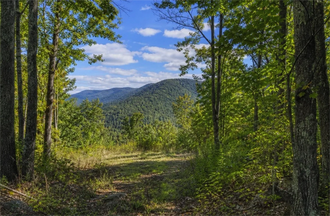 North Carolina land offer review for How to Sell Inherited Land in North Carolina